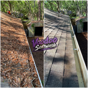 Gutter Cleaning